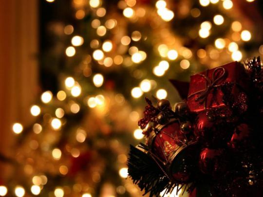 merry, Christmas, Holiday, Vacation, Gifts, Tree, Happy, Beautiful 