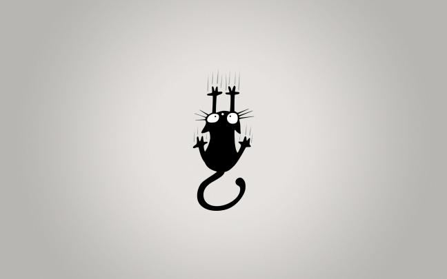 Cute Minimalist Cat PC Wallpapers