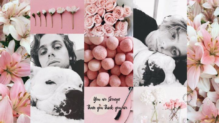 Aesthetic Collage Desktop Wallpapers - Top Free Aesthetic Collage 