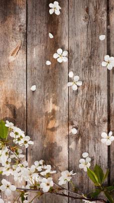 Best Of Rustic Wallpaper | Rustic wallpaper, Desktop wallpapers 