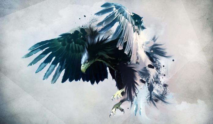 Feather Illustration Artwork Wallpapers HD \/ Desktop and Mobile Backgrounds