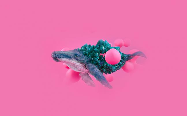 wallpaper for desktop, laptop | bg94-whale-pink-bubble-illustration 