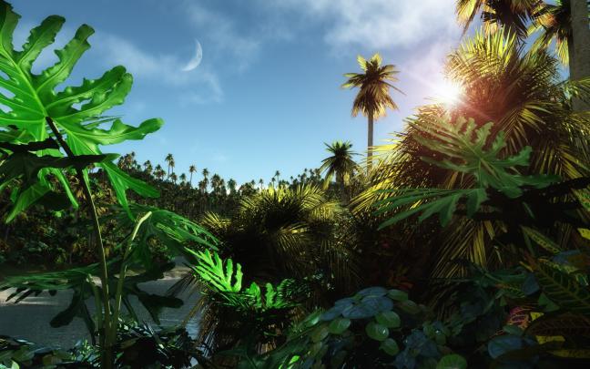 jungle, Wallpaper, Sky, Moon Wallpapers HD \/ Desktop and Mobile Backgrounds