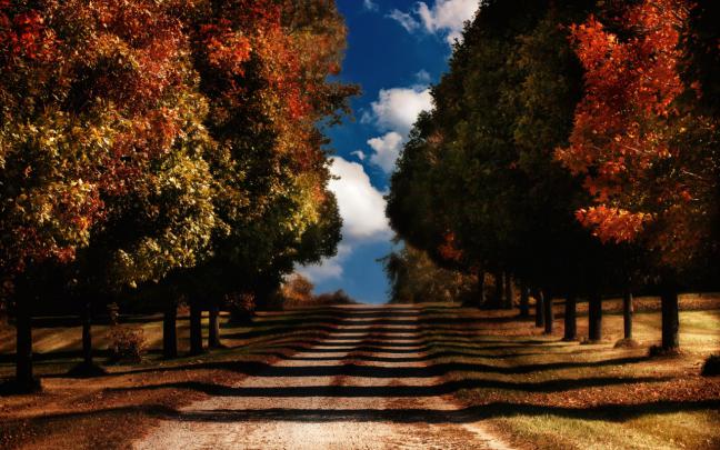 Desktop Backgrounds From FreeWallpapers4Desktop.com Offer Stunning And 