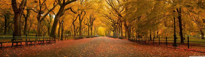 Autumn Dual Monitor Wallpapers
