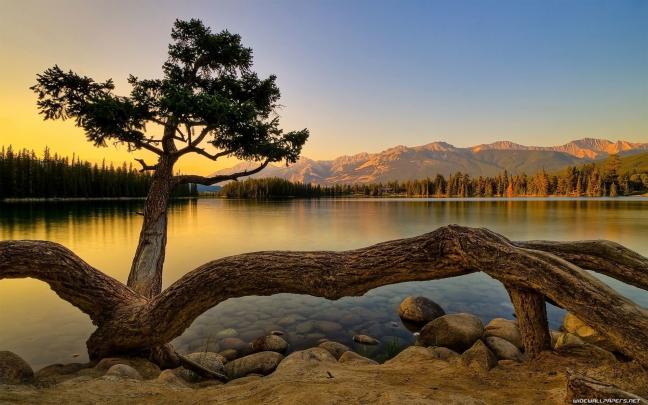 Epic Nature Backgrounds HD \u00b7\u2460 