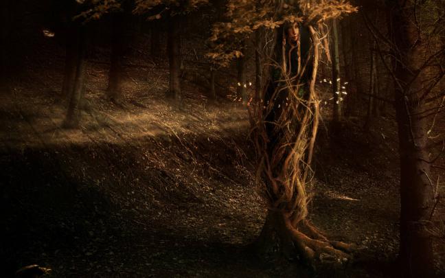 Fairy Wallpaper For Desktop
