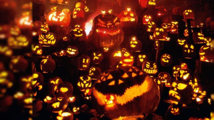 Halloween Pumpkin Backgrounds
