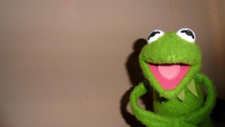 Frog Aesthetic Wallpapers