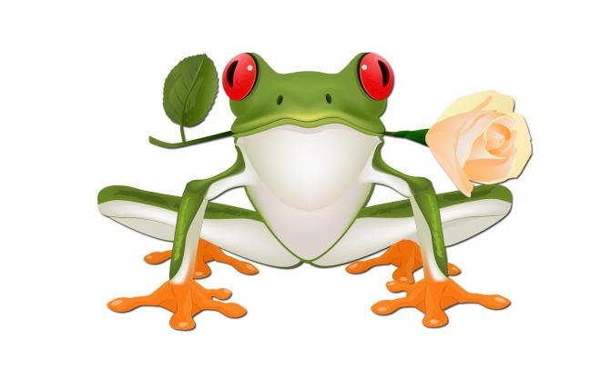 Free frog 3d wallpaper for desktop Wallpapers - HD Wallpapers 81225