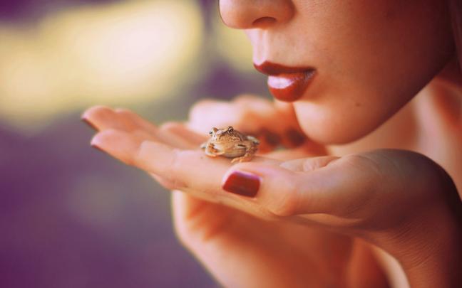 frog desktop download - HD Desktop Wallpapers