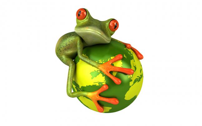 Free frog 3d wallpaper for desktop Wallpapers - HD Wallpapers 81216
