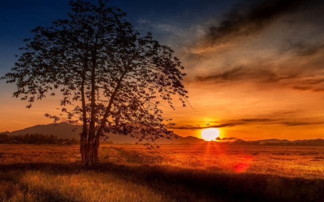 Free Full Screen Wallpaper -