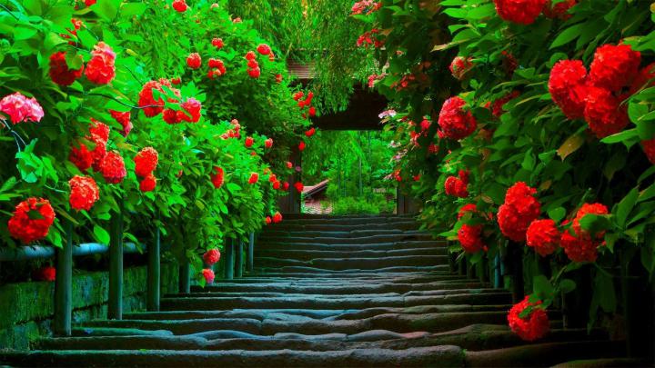 Beautiful Wallpapers for Desktop Full Screen (55+ images)