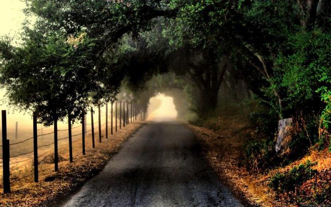 Nature Wallpapers For Desktop Backgrounds Full Screen