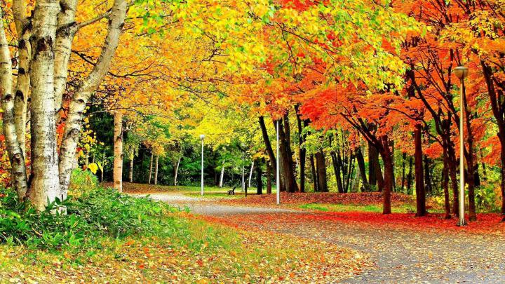 Wallpapers Desktop Backgrounds Full Screen HD