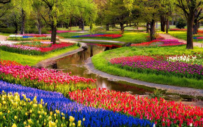 Garden Desktop Wallpaper