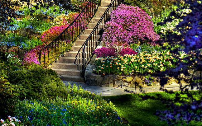 beautiful beauty Beautiful Garden \u2013 Nature Flowers HD Desktop Wallpaper