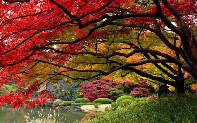 Garden Wallpapers
