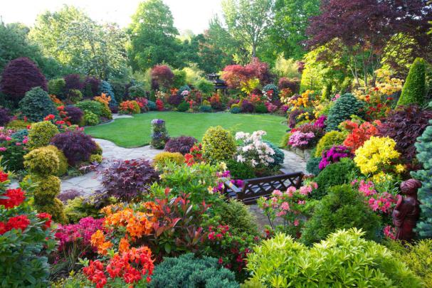 Beautiful, Home, Flower, Gardens, Wallpaper, Desktop Wallpapers, HD 