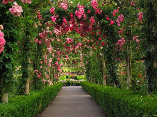 12 Beautiful Garden HD Wallpapers for Desktop