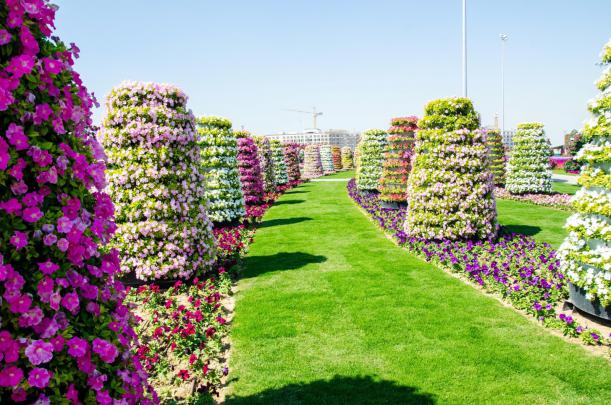 Dubai Miracle Garden desktop wallpaper (1600 x 1059 ) - Flower Wallpaper