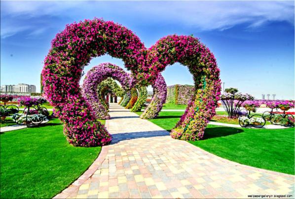 HD Garden Wallpapers