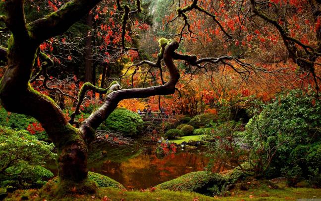 Japanese Garden Desktop Wallpapers