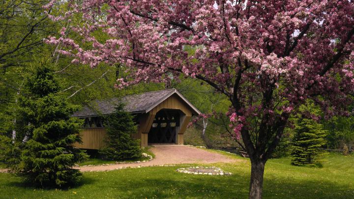 Garden Wallpapers