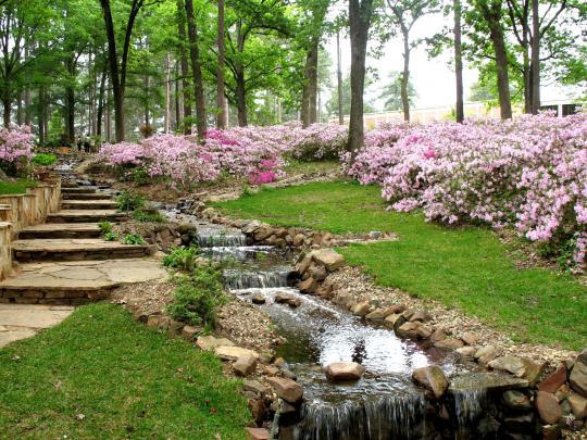 Spring Garden Wallpapers