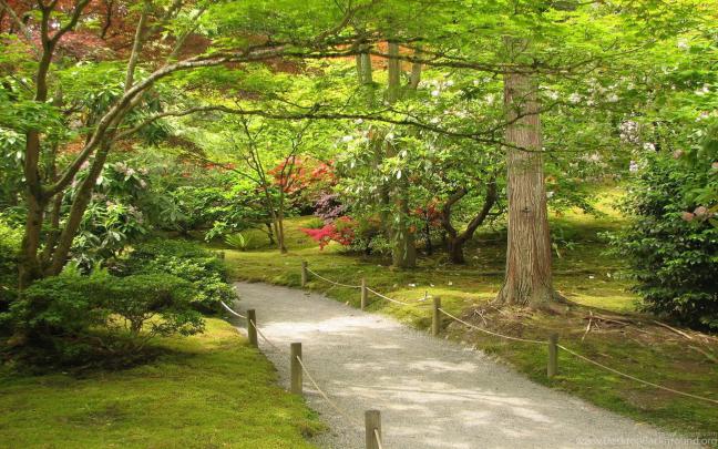 Japanese Garden Desktop Wallpaper \u00b7\u2460 