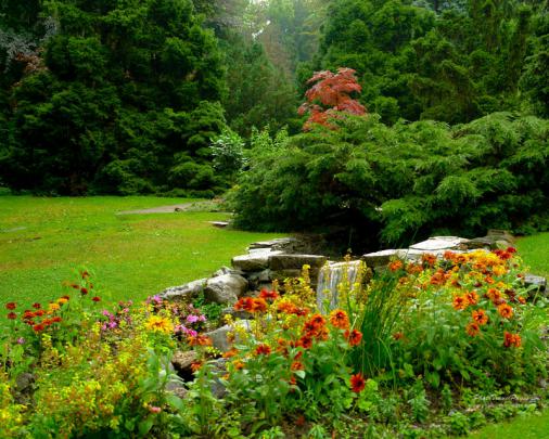 forest garden Garden flower \u2013 Nature Forests HD Desktop Wallpaper