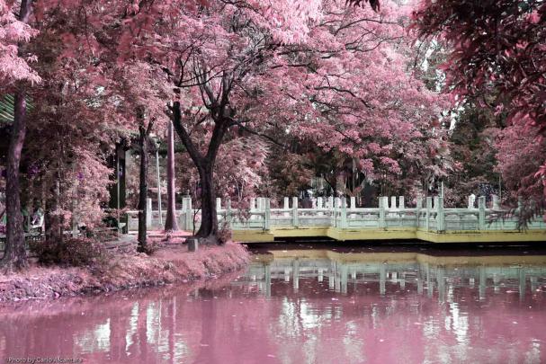 HD Wallpapers: Chinese Garden Wallpapers