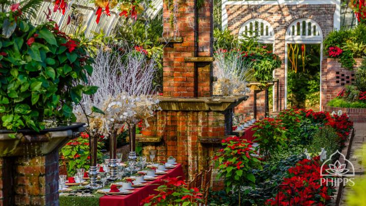 Desktop Wallpapers | Phipps Conservatory and Botanical Gardens 