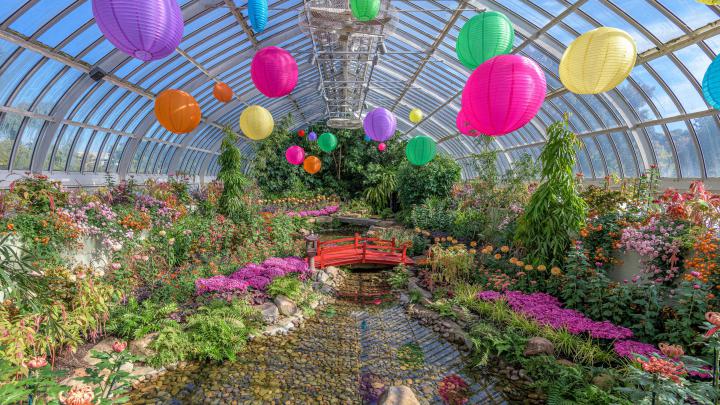 Desktop Wallpapers | Phipps Conservatory and Botanical Gardens 