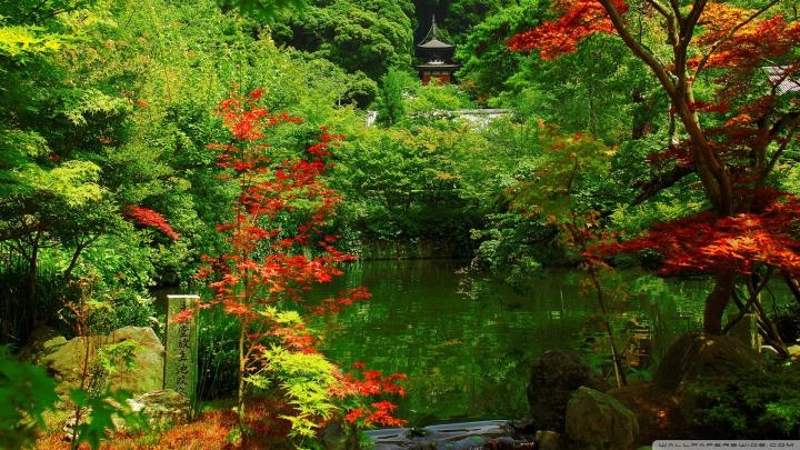 Best 35+ Zen Garden Desktop Backgrounds on HipWallpaper | Beautiful 