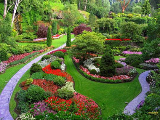 Wallpaper Desk : Rose garden wallpaper, rose wallpaperWallpaper Desk