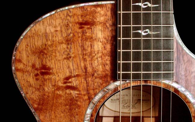 Taylor Guitars Wallpapers