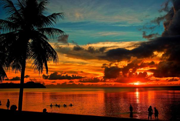 Desktop Palm Tree HD Wallpapers