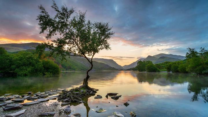 Lone Tree \u2013 Bing Wallpaper Download