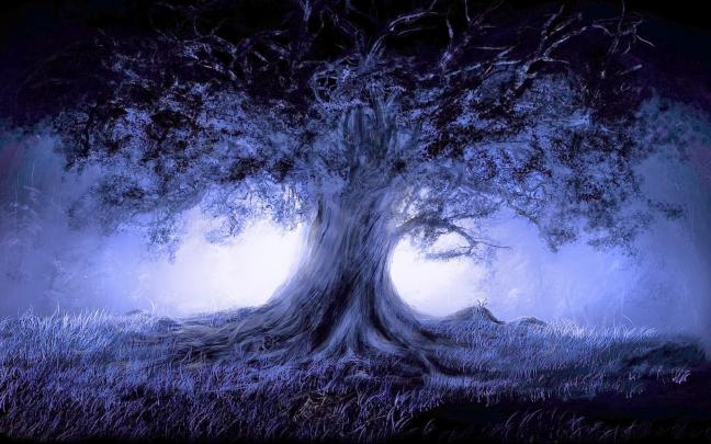Abstract Tree Wallpapers ~ Media Wallpapers