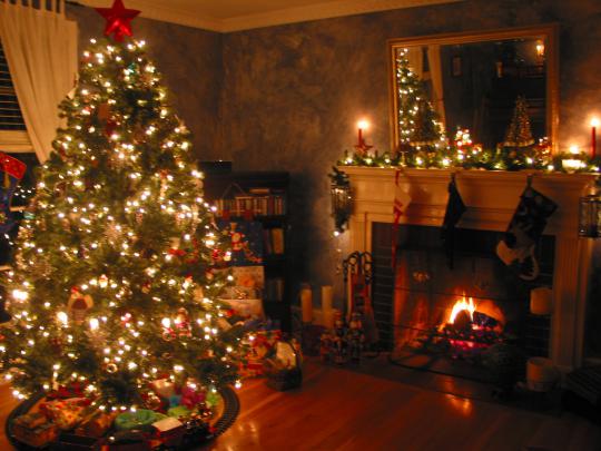 beautiful, Christmas, Tree Wallpapers HD \/ Desktop and Mobile Backgrounds