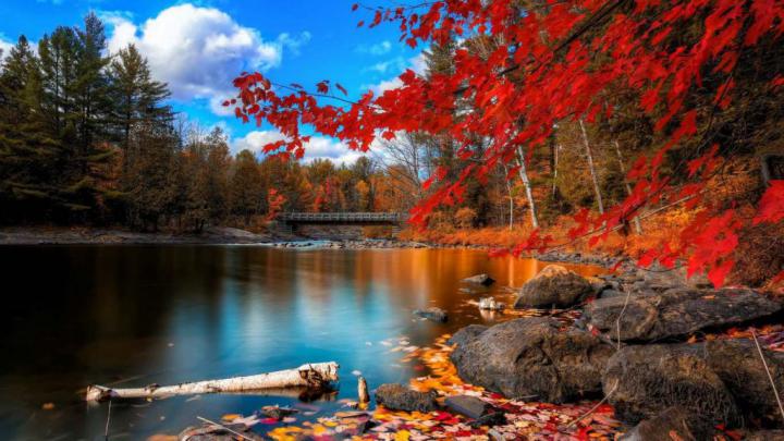 4K Ultra HD Desktop Wallpapers HD 3840x2160 for Windows\/Mac\/iMac