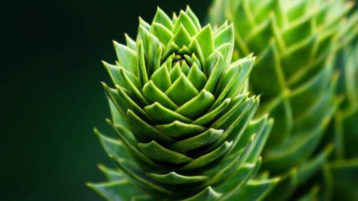 Desktop Unique HD Wallpapers