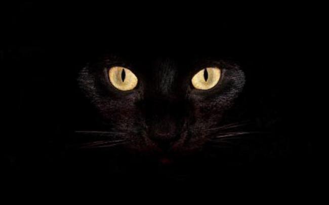 Happy Halloween Wallpapers for your widescreen LCD monitors
