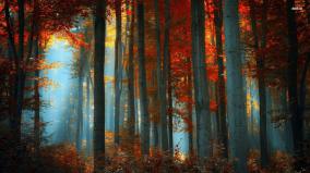 Autumn Aesthetic Desktop Wallpaper