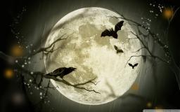 Free Halloween Wallpaper For Desktop Background