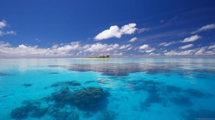 Free download 1920x1080 Wallpapers HD 1080p Desktop Wallpapers 
