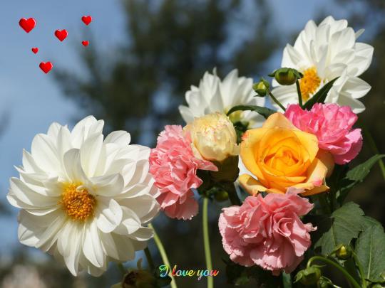 Flower PC Wallpapers - Top Free Flower PC Backgrounds - WallpaperAccess