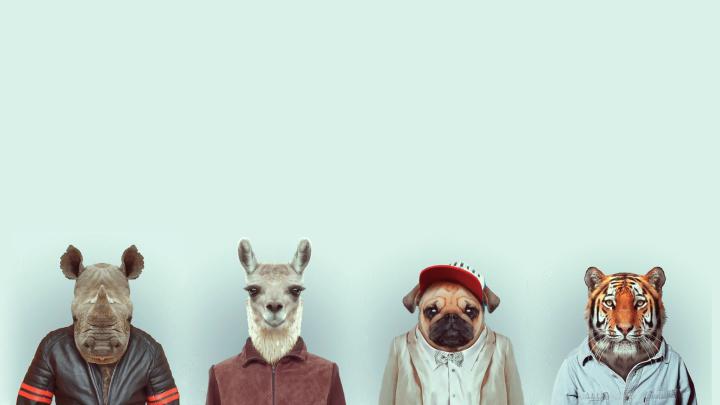 1920X1080 Portrait Wallpaper -